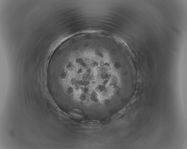 X0000113370337200910061105