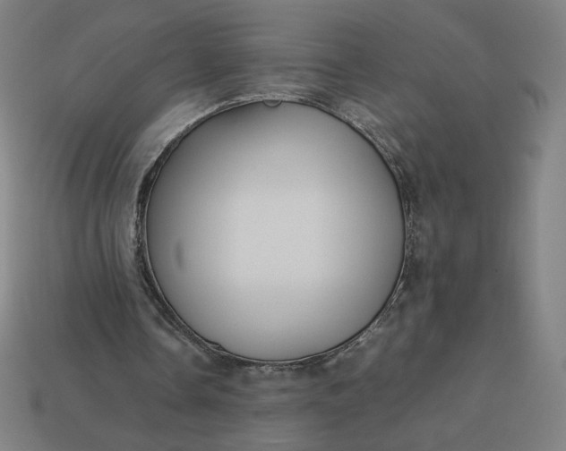 X0000113370338200910061105