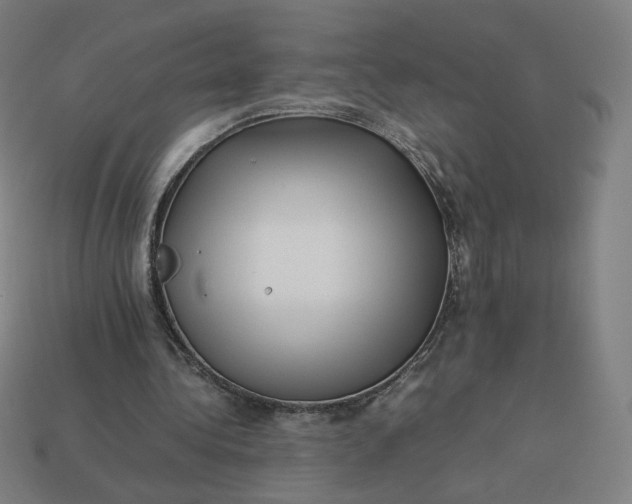 X0000113370340200910061105