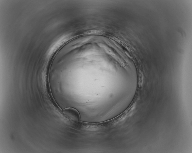 X0000113370341200910061105