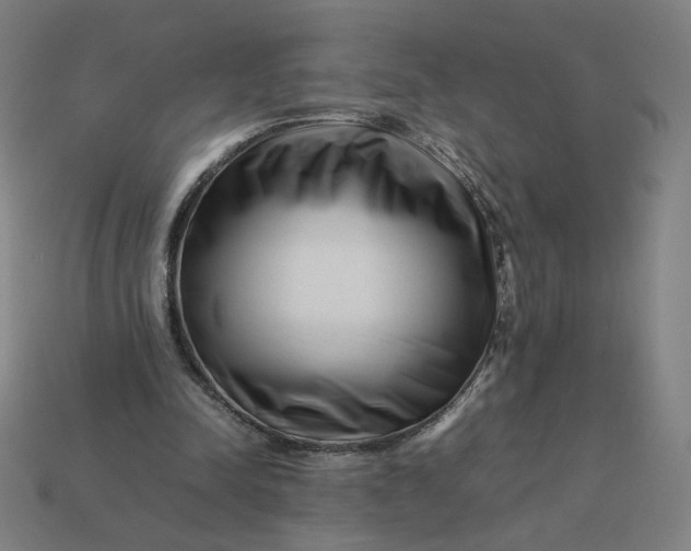 X0000113370342200910061105