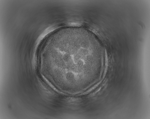 X0000113370343200910061105
