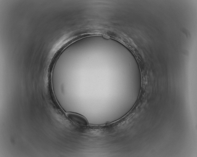 X0000113370344200910061105