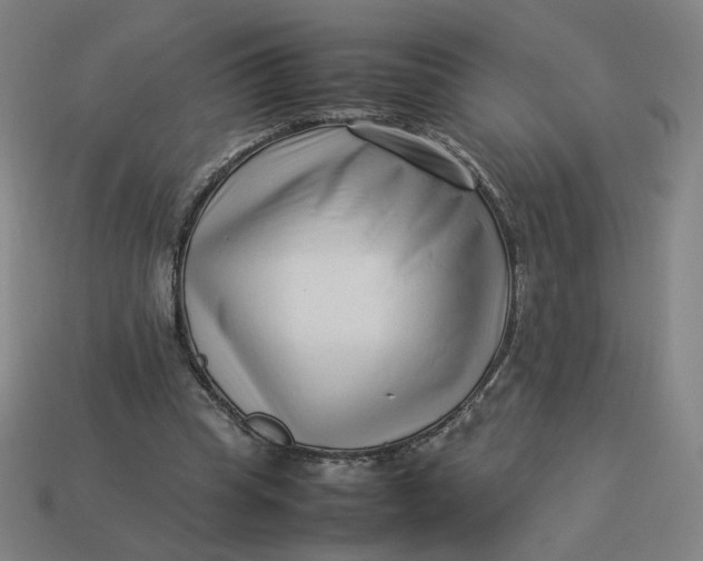 X0000113370345200910061105