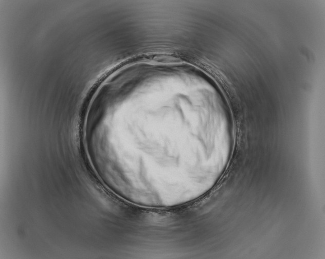 X0000113370346200910061105