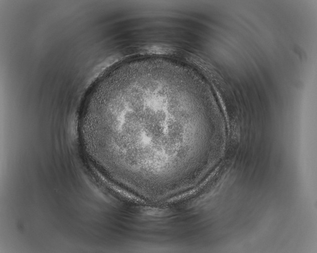 X0000113370347200910061105