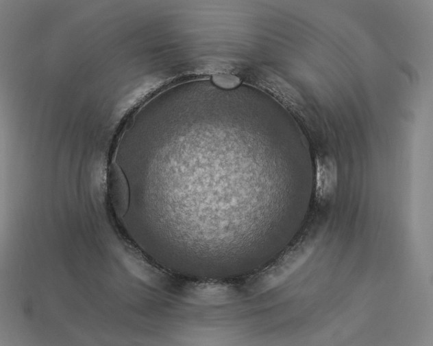 X0000113370348200910061105