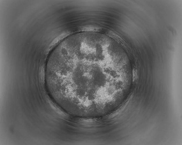 X0000113370349200910061105