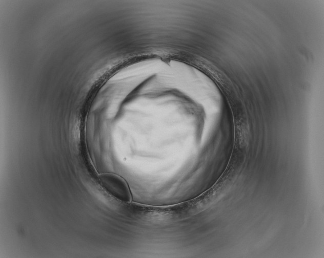 X0000113370350200910061105
