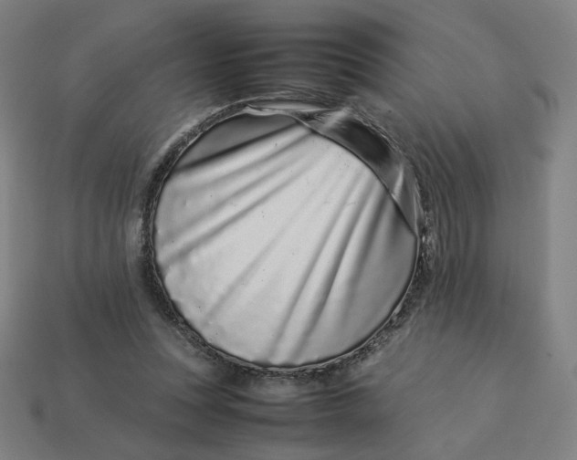 X0000113370351200910061105