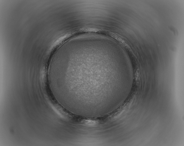 X0000113370352200910061105