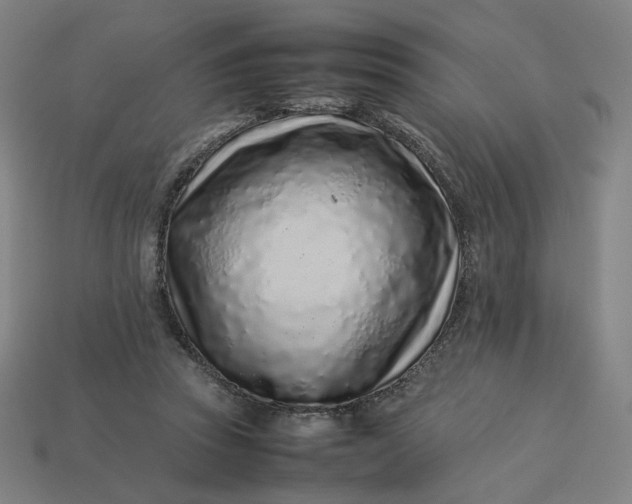 X0000113370353200910061105