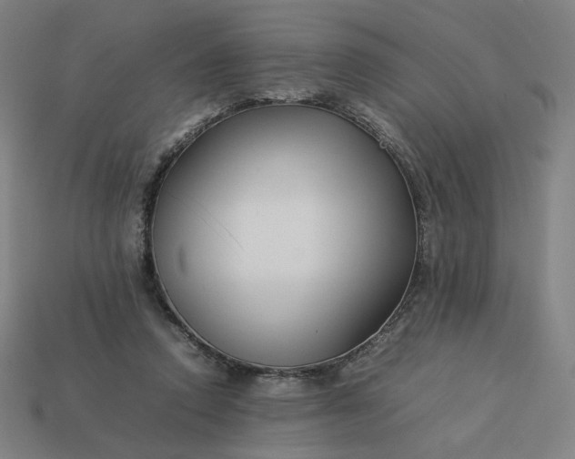 X0000113370354200910061105