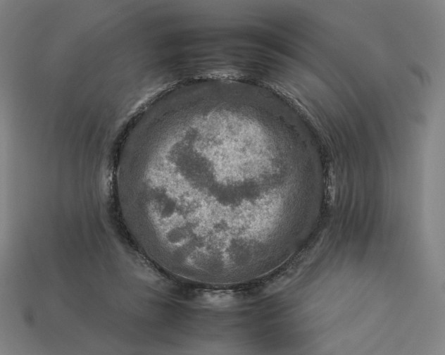 X0000113370355200910061105