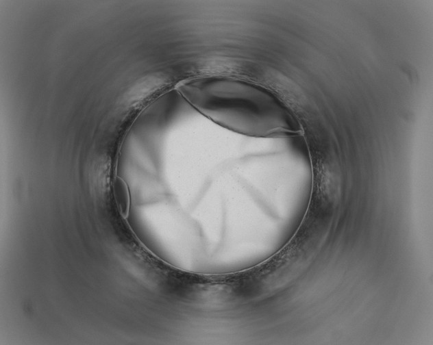 X0000113370356200910061105