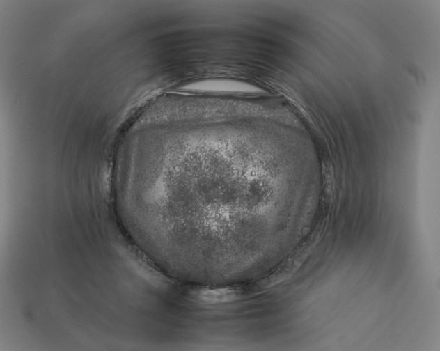 X0000113370357200910061105