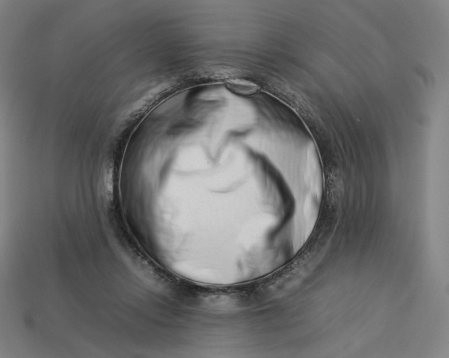 X0000113370358200910061105