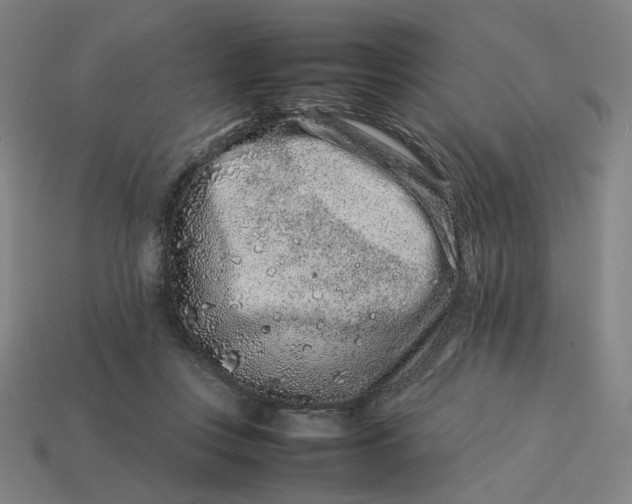 X0000113370359200910061105