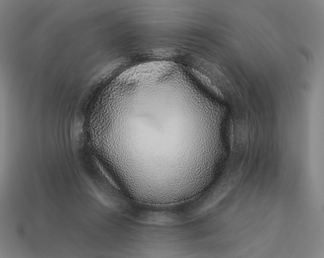X0000113370360200910061105