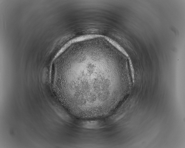X0000113370361200910061105