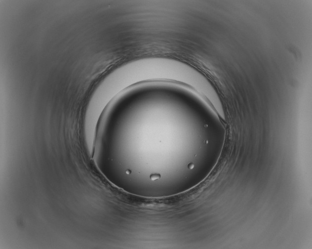 X0000113370362200910061105
