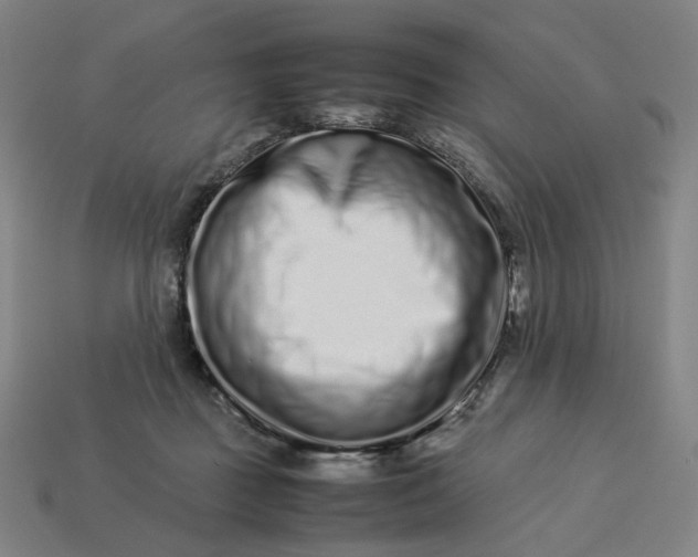 X0000113370363200910061105