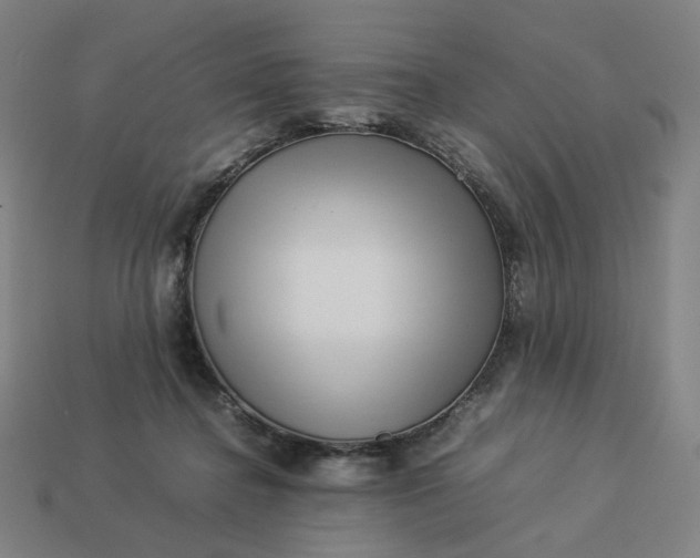 X0000113370364200910061105