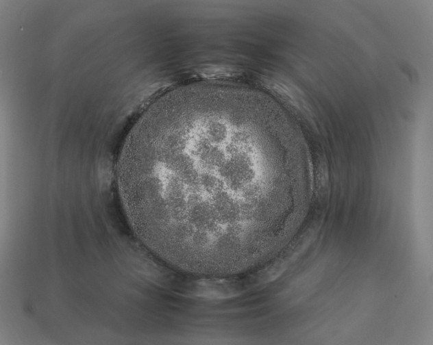 X0000113370367200910061105