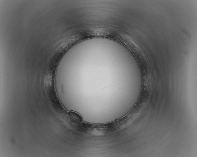 X0000113370368200910061105