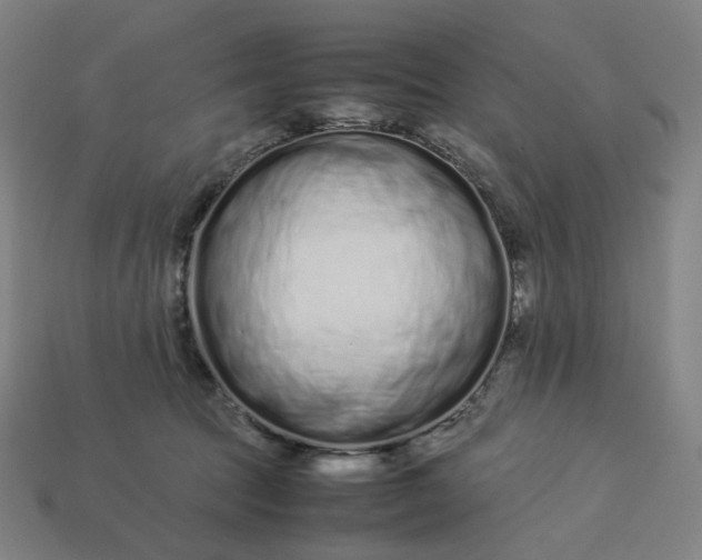 X0000113370369200910061105
