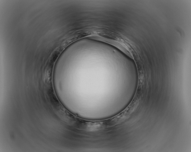 X0000113370373200910061105