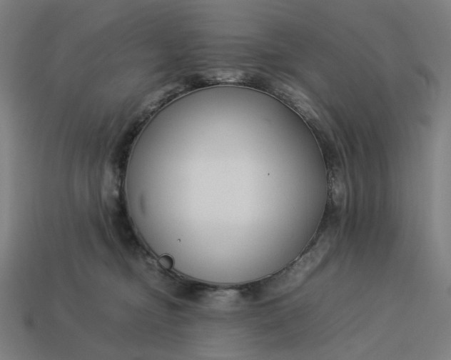 X0000113370374200910061105