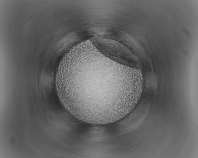 X0000113370376200910061105