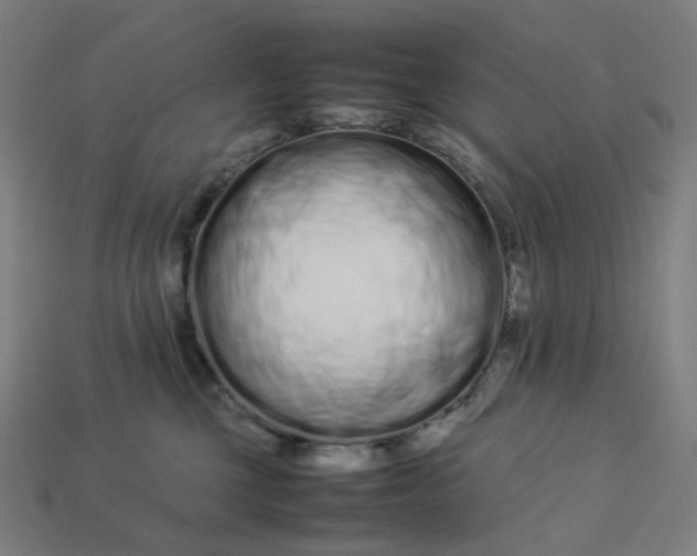 X0000113370377200910061105