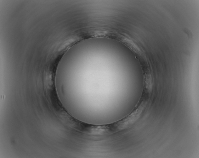X0000113370378200910061105
