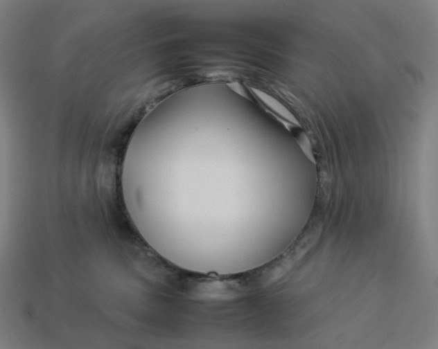 X0000113370379200910061105