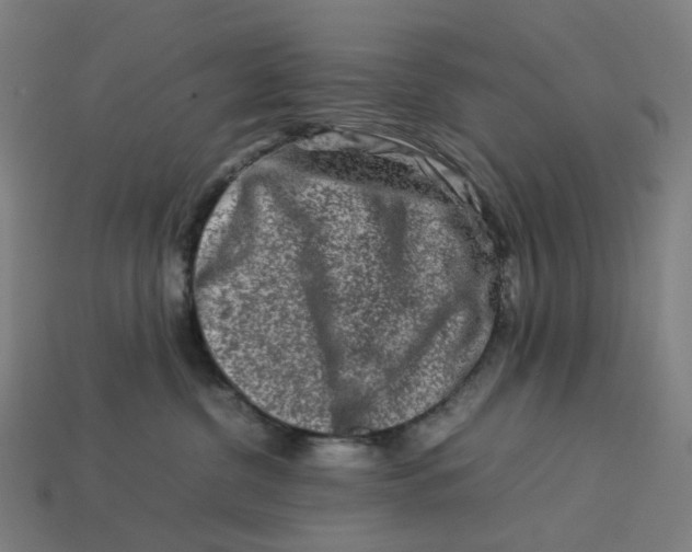 X0000113370380200910061105