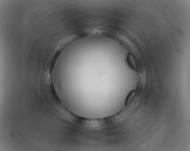 X0000113370381200910061105