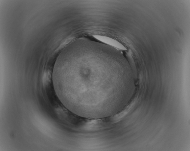 X0000113370382200910061105