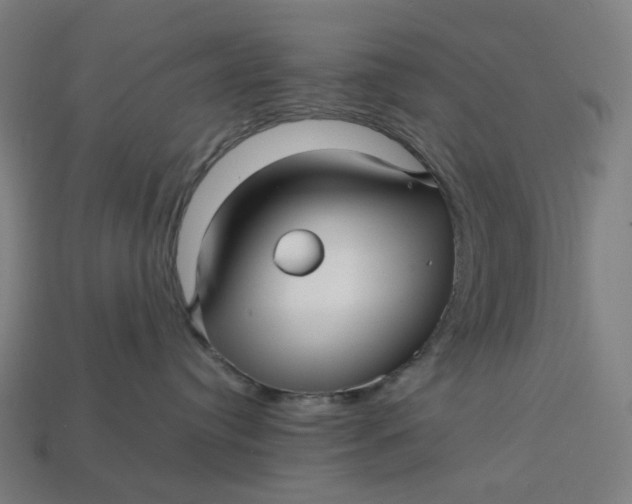 X0000113370384200910061105