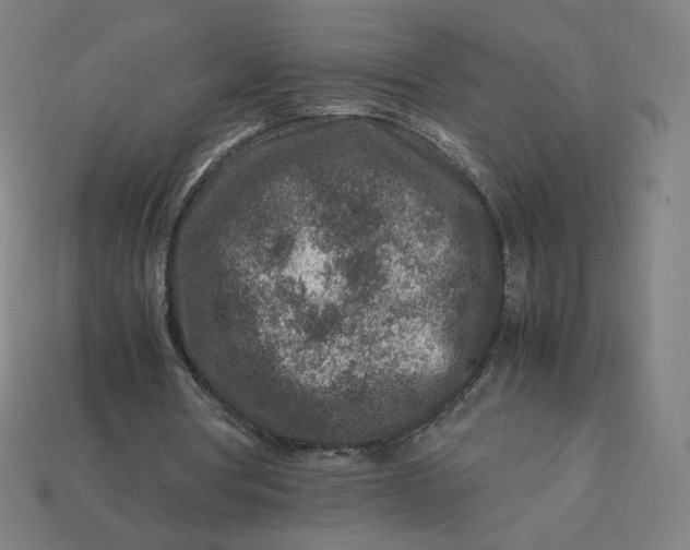 X0000113370386200910061104