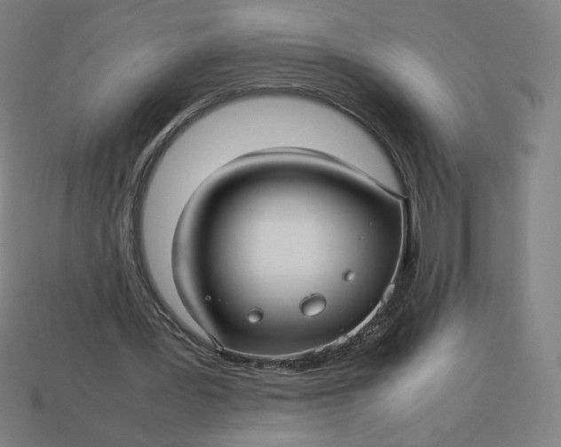 X0000113370387200910061104