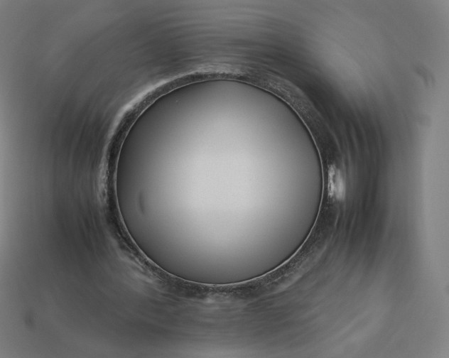 X0000113370388200910061104