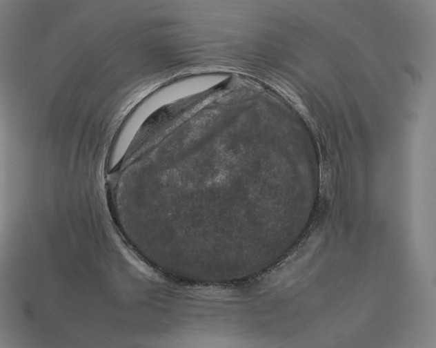 X0000113370389200910061104