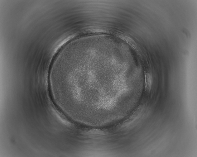 X0000113370390200910061104