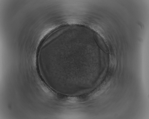 X0000113370391200910061104