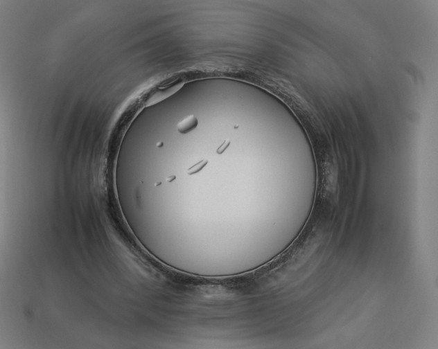 X0000113370392200910061104