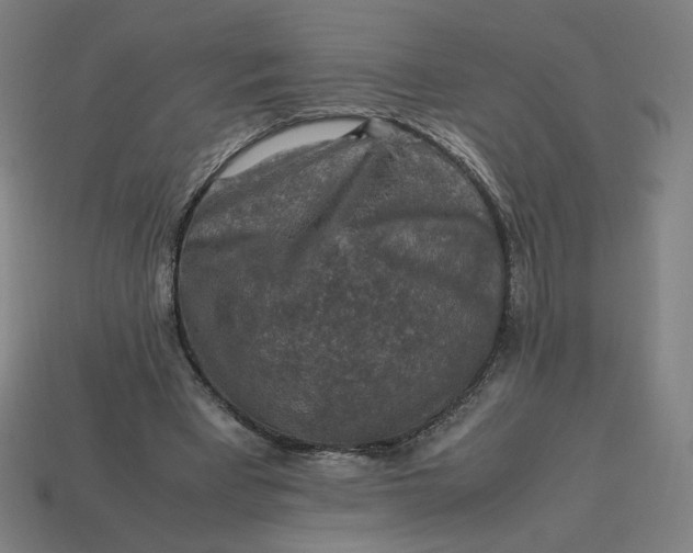 X0000113370393200910061104