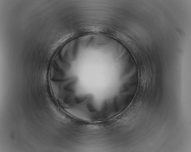 X0000113370394200910061104