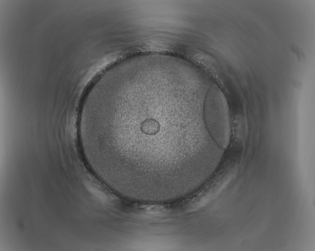 X0000113370395200910061104